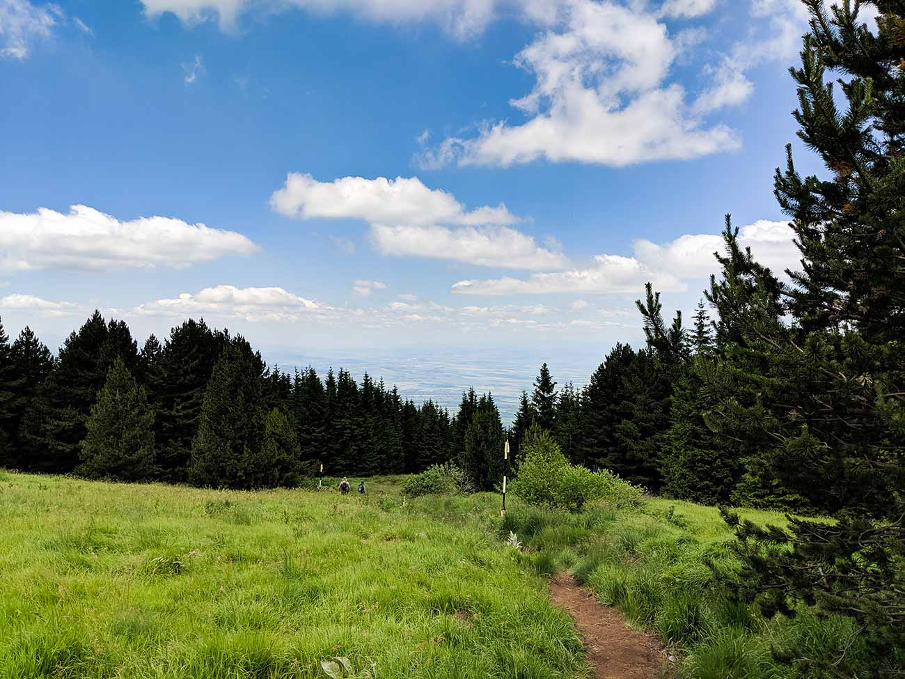 Hiking Vitosha Mountain from Sofia - Where Food Takes Us