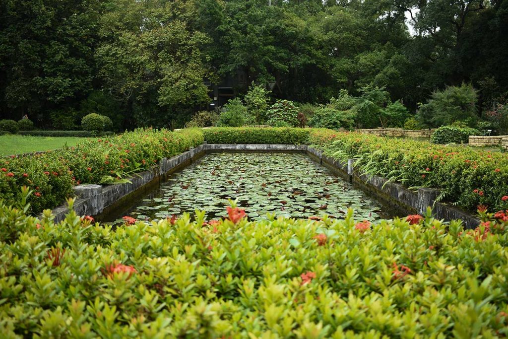 Taipei Parks: Small lily pond in Taipei Botanical Gardens
