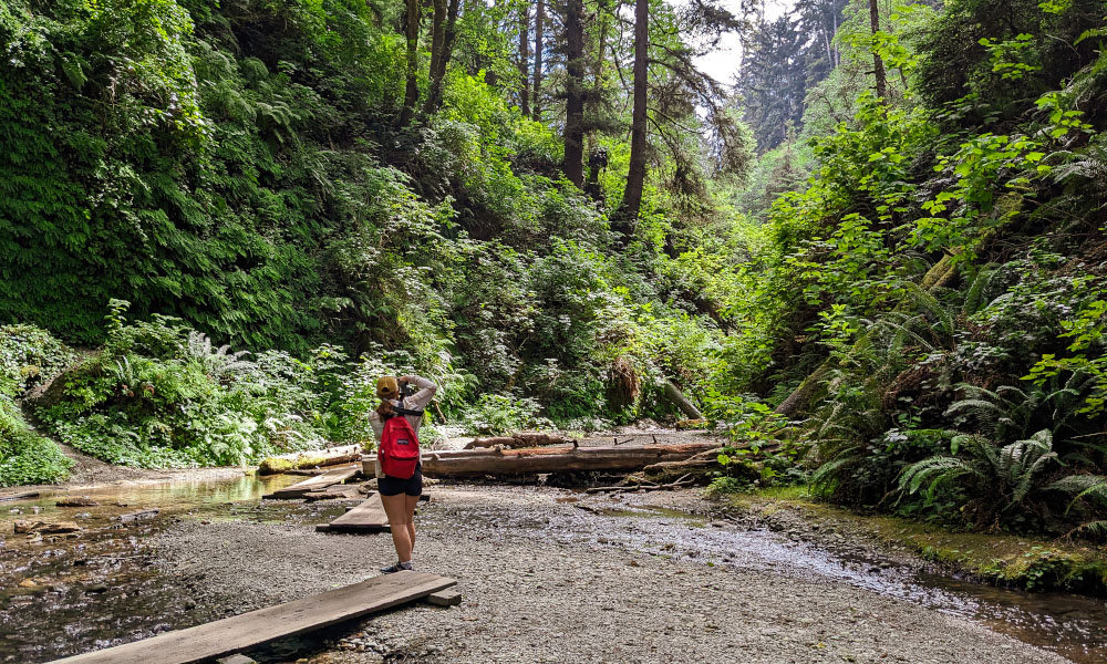 Darah taking a picture of Fern Canyon Trail in Northern Califronia