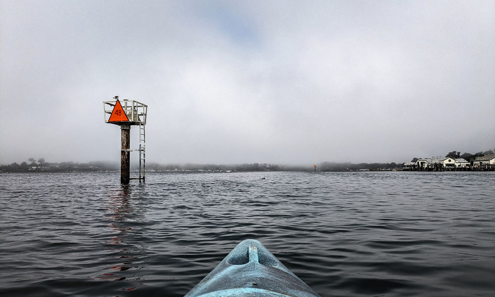 Kayaking in a foggy Bodega Bay in Northern California
