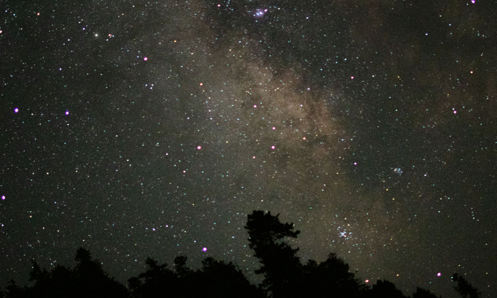 Stars above the treeline at Prairie Creek State Park in Northern California