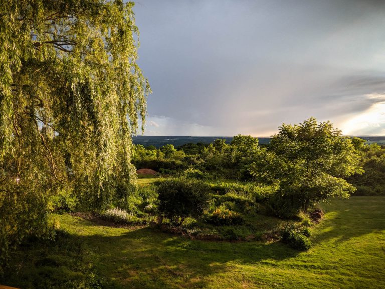 The garden view from the patio at Stonecat Cafe at sunset"