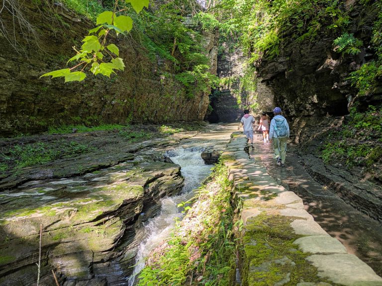 The Gorge Trail winding between rock walls at Watkins Glen State Park